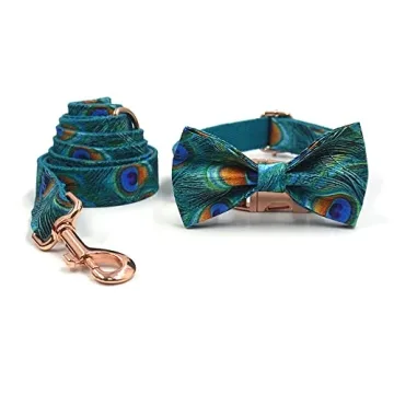 Personalized Dog Collar with Engraved Metal Buckle