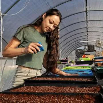 Bootstrap Farmer Microgreen 1020 Trays, Shallow Extra Strength 10 Pack Seed Tray with Holes - Grow Fodder, Wheatgrass, Sprouting, Plants Growing