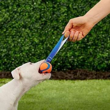 Chuckit! Ultra Tug Dog Toy, Small Fetch and Dog Ball Tug Toy for Dogs 0-20 Pounds