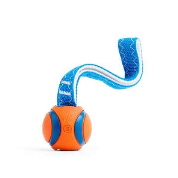 Chuckit! Ultra Tug Dog Toy, Small Fetch and Dog Ball Tug Toy for Dogs 0-20 Pounds