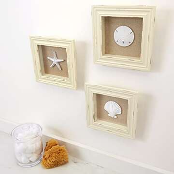 Beachy Set of 3 Shell Shabby Chic Shadow Boxes- Creamy Off White Frame 7" x 7" - Starfish, Sand Dollar and Clam Shell Mounted on Fabric Background by Tumbler Home