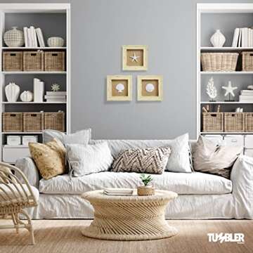 Beachy Set of 3 Shell Shabby Chic Shadow Boxes- Creamy Off White Frame 7" x 7" - Starfish, Sand Dollar and Clam Shell Mounted on Fabric Background by Tumbler Home