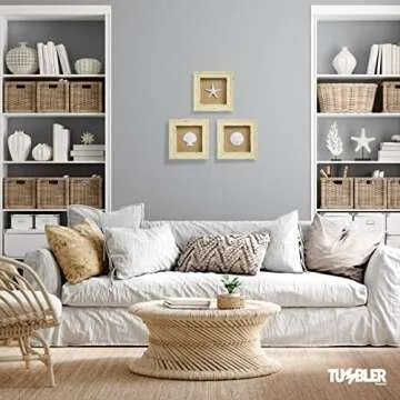 Beachy Set of 3 Shell Shabby Chic Shadow Boxes- Creamy Off White Frame 7" x 7" - Starfish, Sand Dollar and Clam Shell Mounted on Fabric Background by Tumbler Home