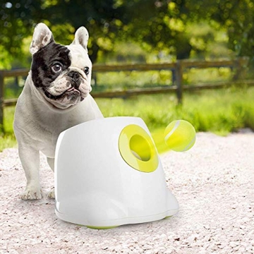 Premium Dog Tennis Balls for Mini Ball Launchers - 6 Pack
