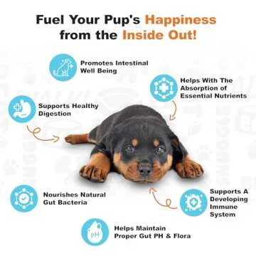 Doggie Dailies Puppy Probiotic, Probiotics for Puppies with Digestive Enzymes, Promotes Digestive Health, Supports Immune System & Overall Development (Pumpkin) 120 Soft Chews