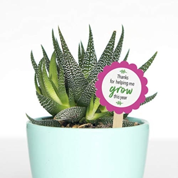 Printworks White Cardstock for Craft Projects and More