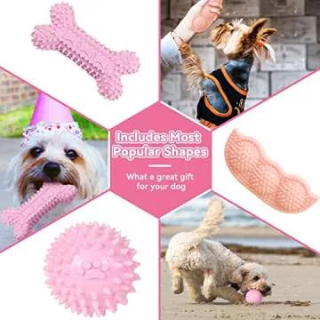 Petcare 6 Pack Puppy Chew Toys for Teething Small Dogs