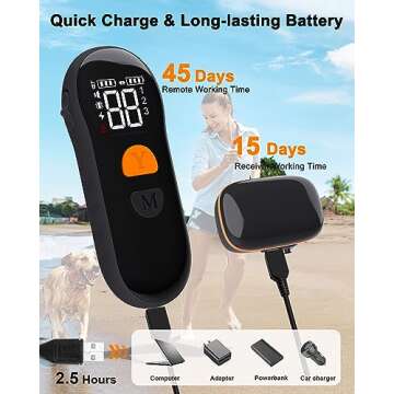 Dog Shock Collar - [New Edition] Dog Training Collar with Remote 2600Ft, Shock Collar for Large Medium Small Dogs 8-120lbs, Waterproof Rechargeable E Collar with Beep, Vibration, Safe Shock (Black)