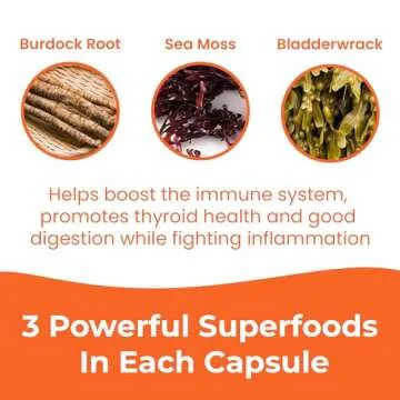 INFINITE AGE 1250mg Sea Moss Advanced Superfood Capsules, 60 Count - High-Potency, Vegan, Made in The USA - Irish Seamoss, Bladderwrack, Burdock Root - Overall Health, Immunity Support