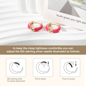Lourny Small Gold Plated Pink Hoop Earrings for Women