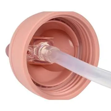 Beaba Straw Sippy Cup, Toddler Baby Straw Cup with Removable Handles, Leak and Spill Proof, BPA Phthalate Free, 8+ months, 10 oz, (Rose)