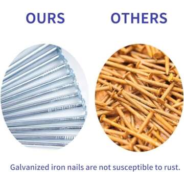 Coceca 200 Pack Hardware Nails for Hanging Pictures, 4 Size Zinc Tiny Nail Assorted Kit, Picture Nail, Small Nails, Finishing Nail, Wall Nails and Galvanized Nails for Wood