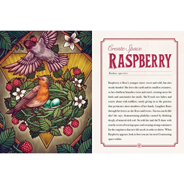 Explore The Illustrated Herbiary with Magical Botanicals