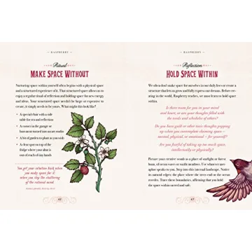Explore The Illustrated Herbiary with Magical Botanicals