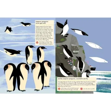 Birds of the World Sticker Activity Book for Kids