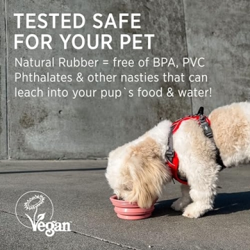 Hevea Portable Dog Bowl - Eco-Friendly & Travel Ready