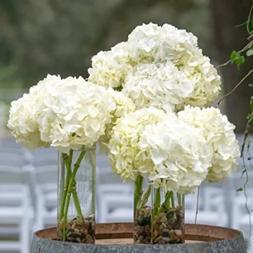 WDHODEC Multi-Purpose Hurricane Candle Holders Set