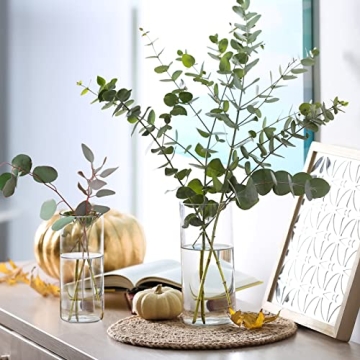 WDHODEC Multi-Purpose Hurricane Candle Holders Set