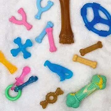 Nylabone Puppy Teething Ring Chew Toy - Chicken Flavor