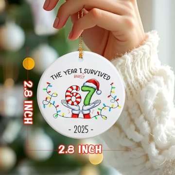 Funny 67 Ornament | Perfect 2025 Slang Christmas Gift for Meme Lovers