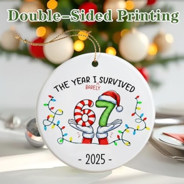 Funny 67 Ornament – Unique 2025 Slang Gift for All