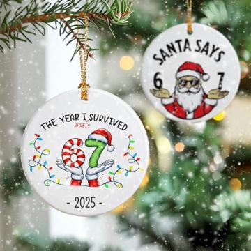 Funny 67 Ornament – Unique 2025 Slang Gift for All