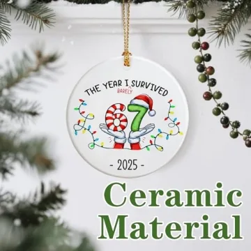 Funny 67 Ornament – Unique 2025 Slang Gift for All