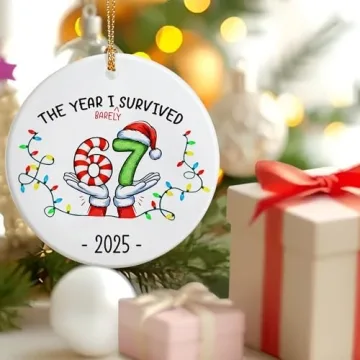 Funny 67 Ornament – Unique 2025 Slang Gift for All