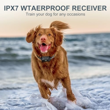 Dog Training Collar - Dog Shock Collar with Remote 1600FT, Waterproof Collar, 3 Training Modes and 4 Channels, Security Lock for All Breeds, Sizes