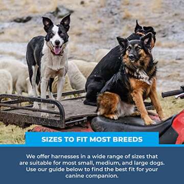 Rock-N-Rescue SAR Dog Harness - Durable & Safe for All Dogs