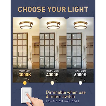 Kudos 12 Inch Flush Mount Ceiling Light Fixture