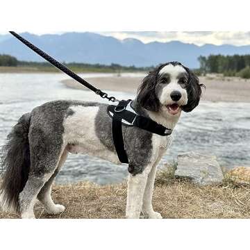 ShawnCo Essential Dog Harness - No Pull & Reflective Safety