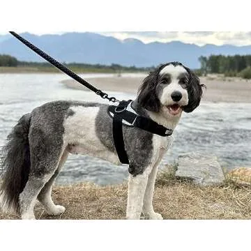 ShawnCo Essential Dog Harness - No Pull & Reflective Safety