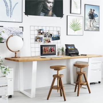 Epson FastFoto FF-680W High-Speed Photo Scanner