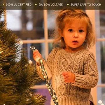 Tcamp 164FT LED Christmas Lights with 8 Modes and Timer