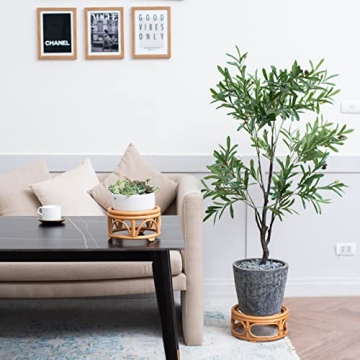 Boho Rattan Round Plant Stands Set of 2 Stylish Decor