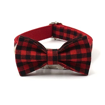 Personalized PETDURO Dog Collar with Engraved Buckle