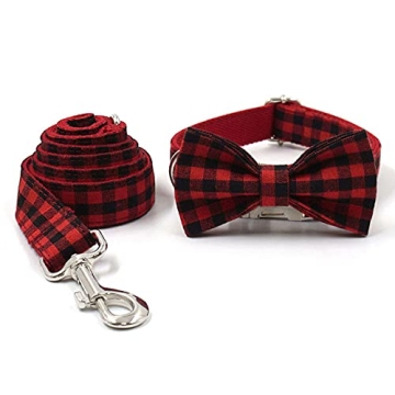 Personalized PETDURO Dog Collar with Engraved Buckle