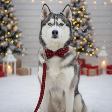 Personalized PETDURO Dog Collar with Engraved Buckle