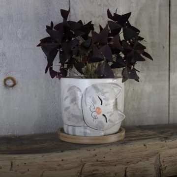 Charming Large Kitty Pot for Indoor Plants and Gifts