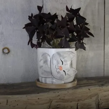 Charming Large Kitty Pot for Indoor Plants and Gifts