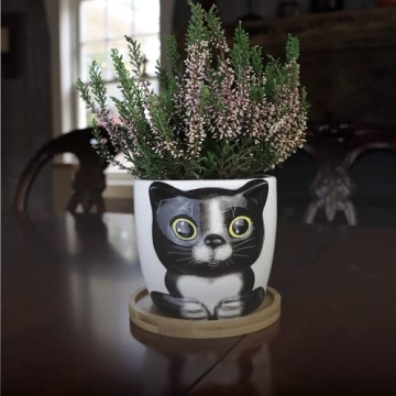 Charming Large Kitty Pot for Indoor Plants and Gifts