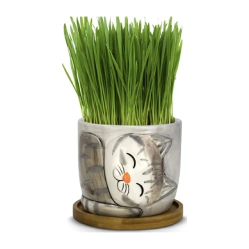 Charming Large Kitty Pot for Indoor Plants and Gifts