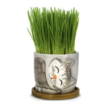 Charming Large Kitty Pot for Indoor Plants and Gifts
