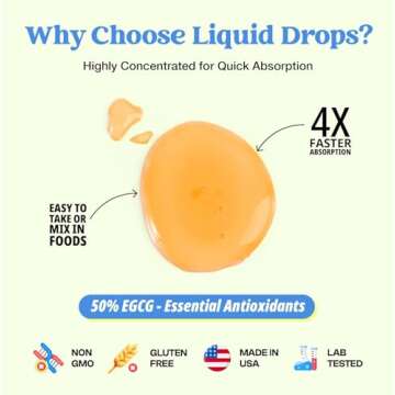 Green Tea 10:1 Liquid Drops for Energy & Antioxidant Support