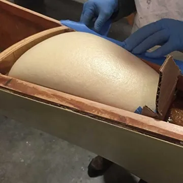 TotalBoat 2 Lb Density Expanding Foam Kit for DIY Projects