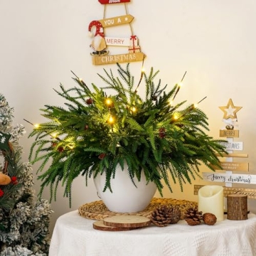 Norfolk Pine Christmas Branches with Lights & Pine Cones