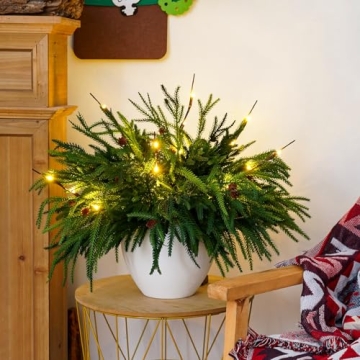 Norfolk Pine Christmas Branches with Lights & Pine Cones