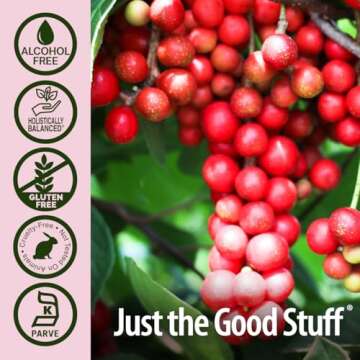 Nature's Answer Schisandra Berry Extract - Alcohol Free, Gluten Free, Stress, Fatigue, Relaxing Support - Made in USA - Adrenal Support Supplements for Everyone