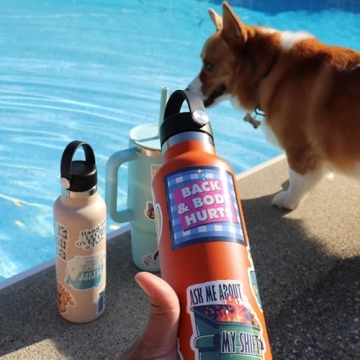 225PCS Funny Holographic Stickers for Adults – Waterproof Vinyl Sarcastic Décor